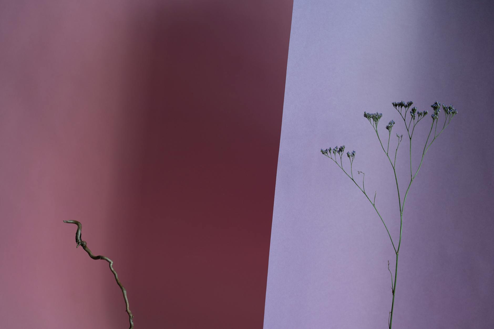 When Do Side Effects Appear — and Can They Strike After Treatment Ends?