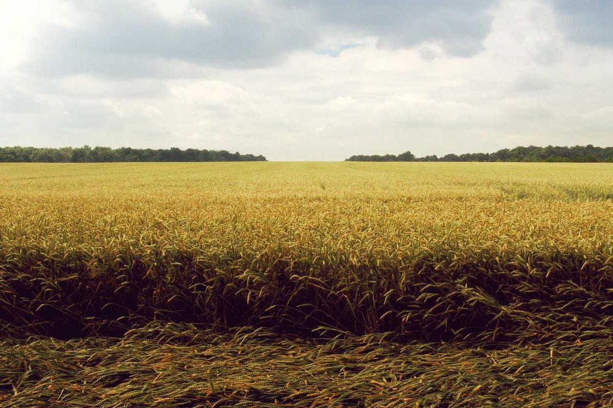 When Does Levodopa Start Causing Problems, and What Are the Warning Signs?