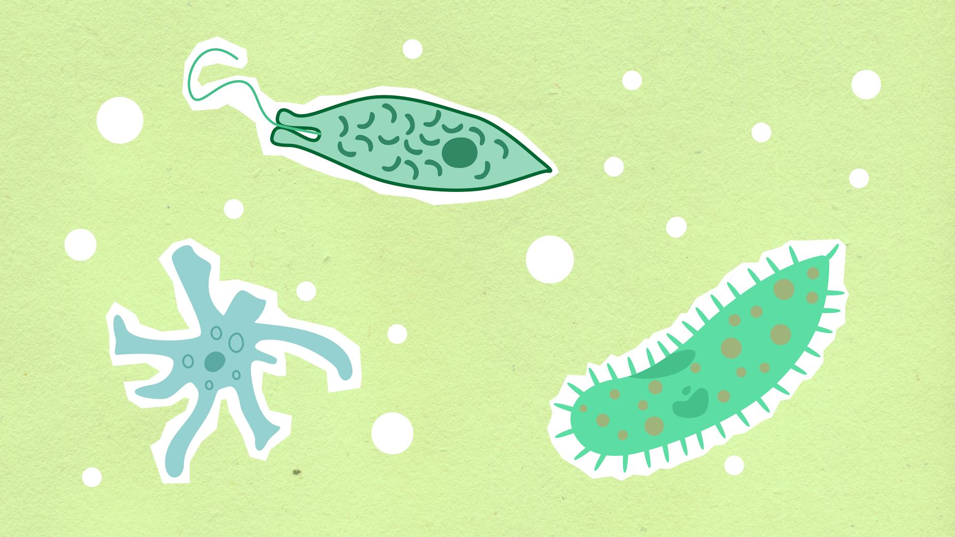 Which Brain Cells Are Most Vulnerable, and How Are They Changing?
