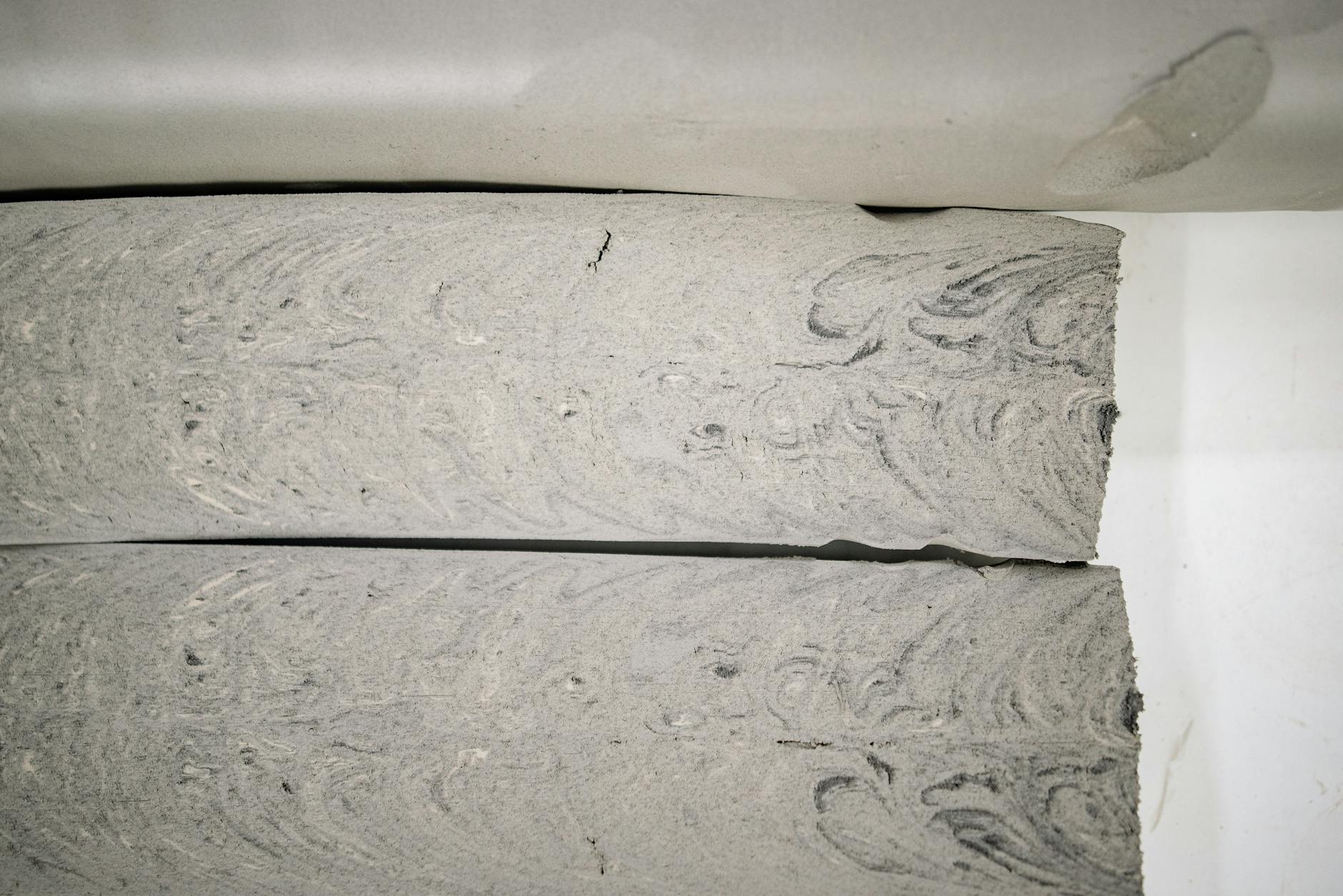 Why Are These 9 Core and Lower Back Exercises the Standard in Physical Therapy?