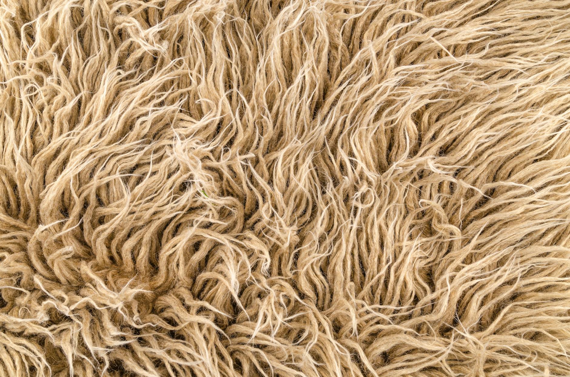 Why Cushion Comfort Matters More Than You Might Think
