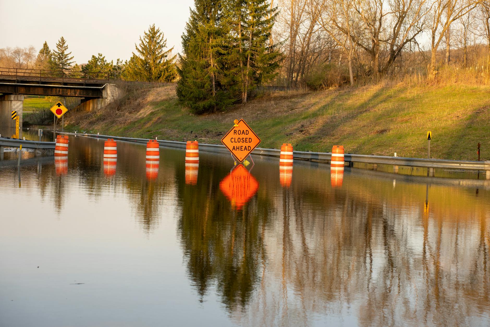 Why Does Dementia Disrupt the Body's Internal Clock and How Does Light Reset It?