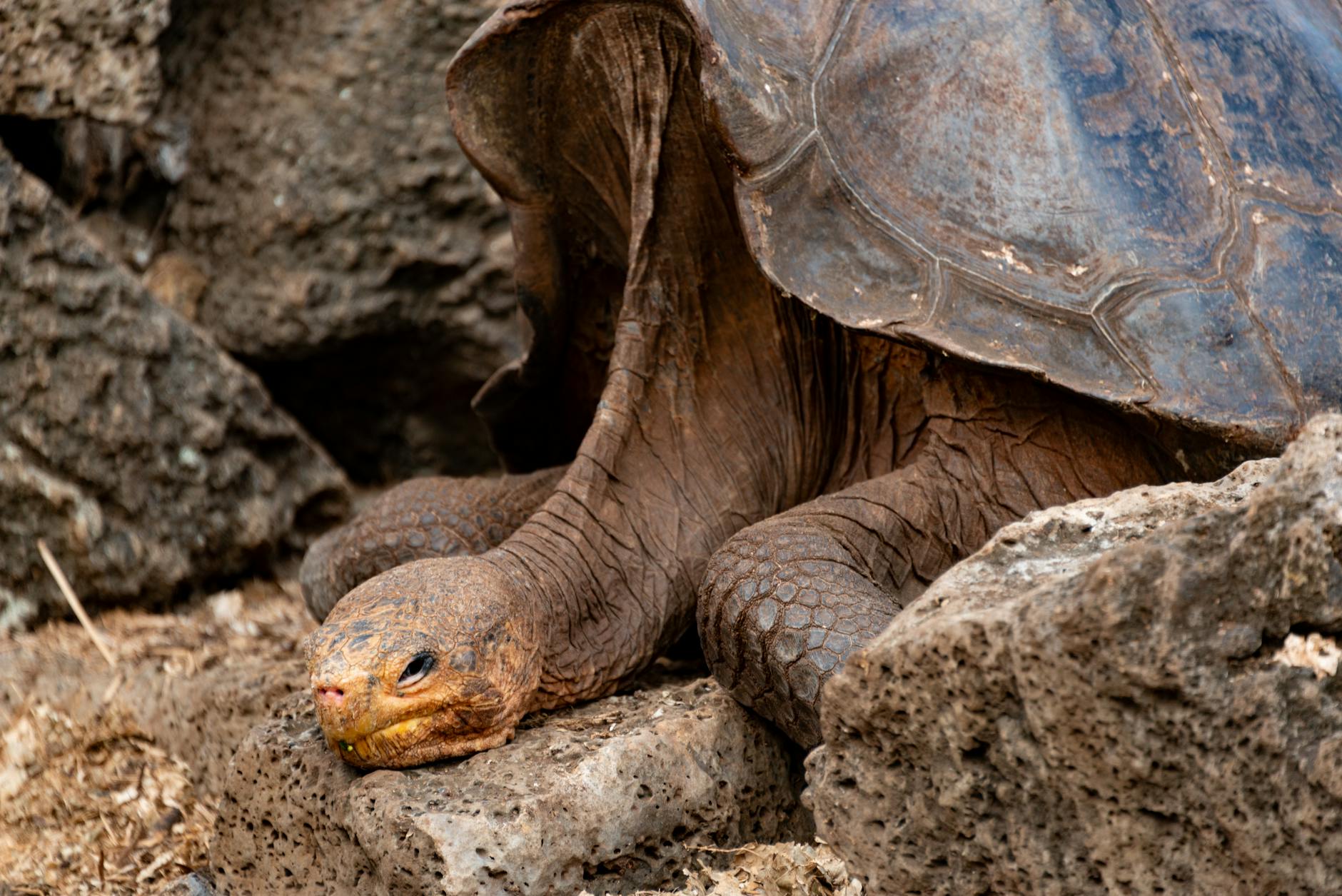 Why Does Posture Matter So Much for Protecting Your Spinal Discs?