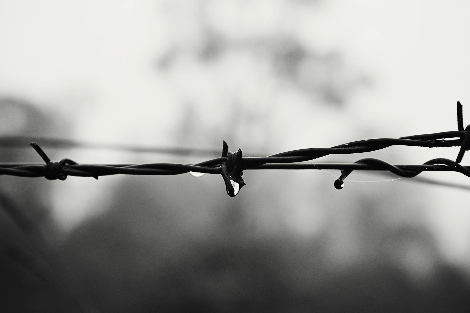 Why Forward Bending and Twisting Is the Most Dangerous Combination