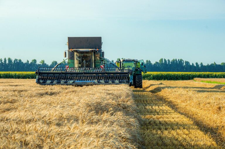 Why Oncologists Are Combining PARP Inhibitors With Immunotherapy - Featured image