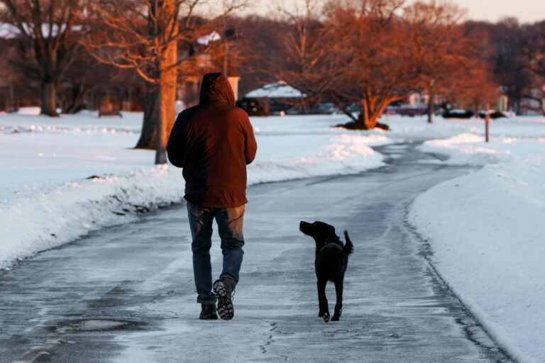 Why Walking Is Often Recommended for Back Pain - Featured image