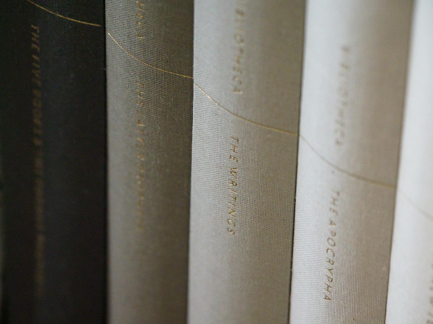 Why Your Spine Needs Active Support Beyond Rest