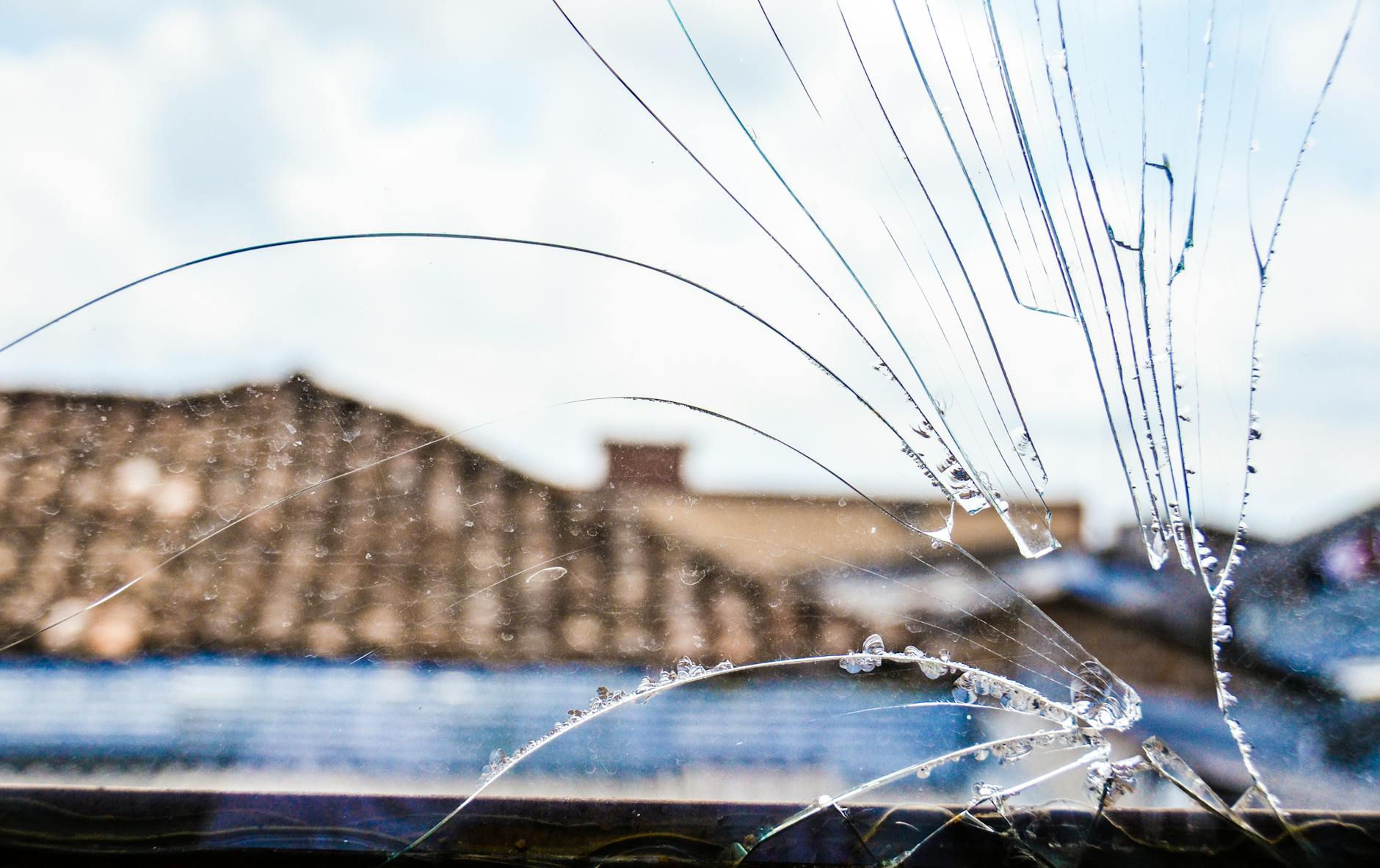 Adolescent Vulnerability and the Window of Neural Plasticity