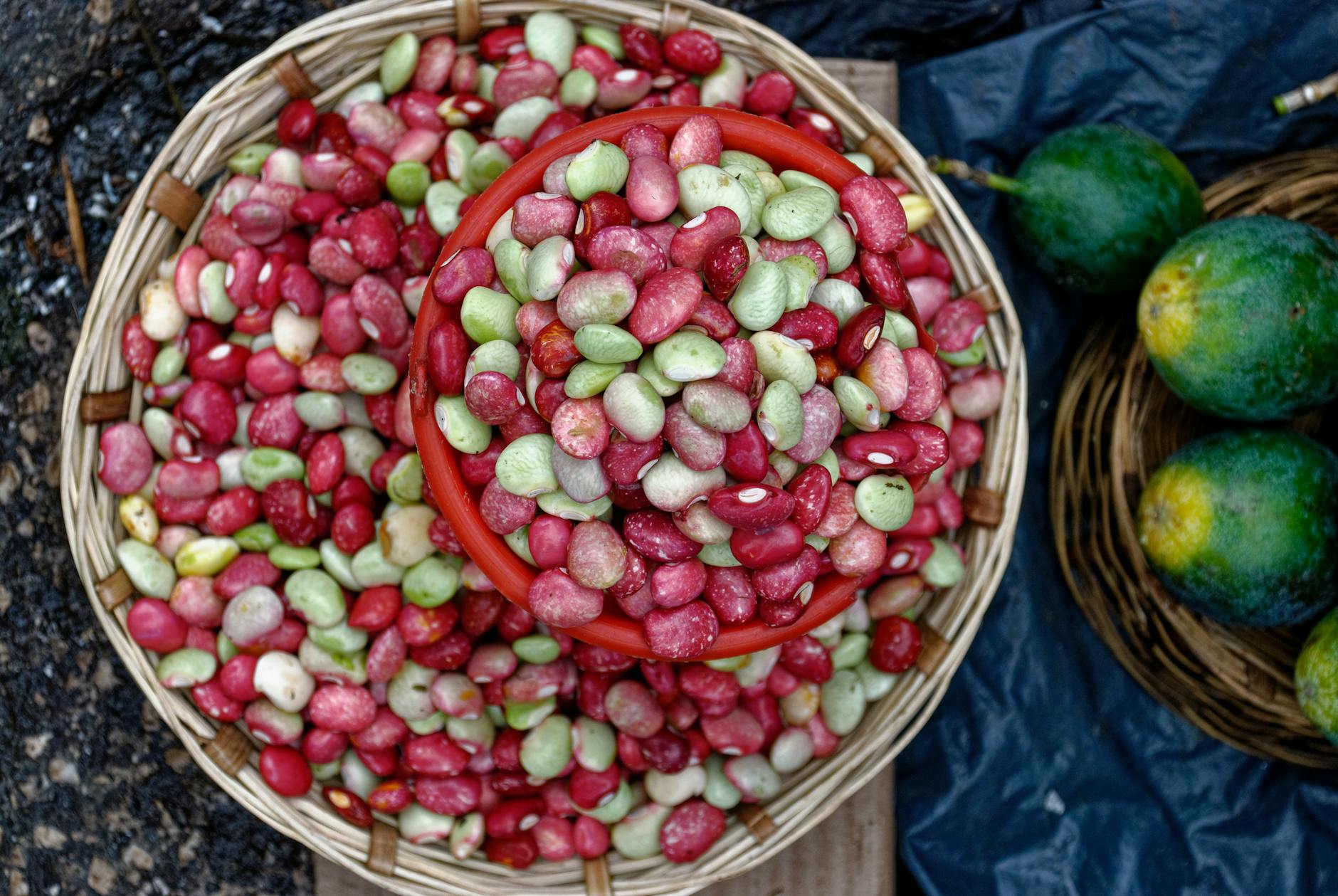 B Vitamins in Beans and Brain Health