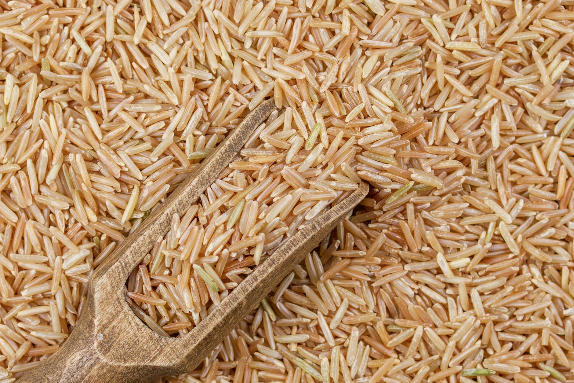 Beyond Memory—How Whole Grains Support Overall Brain Function