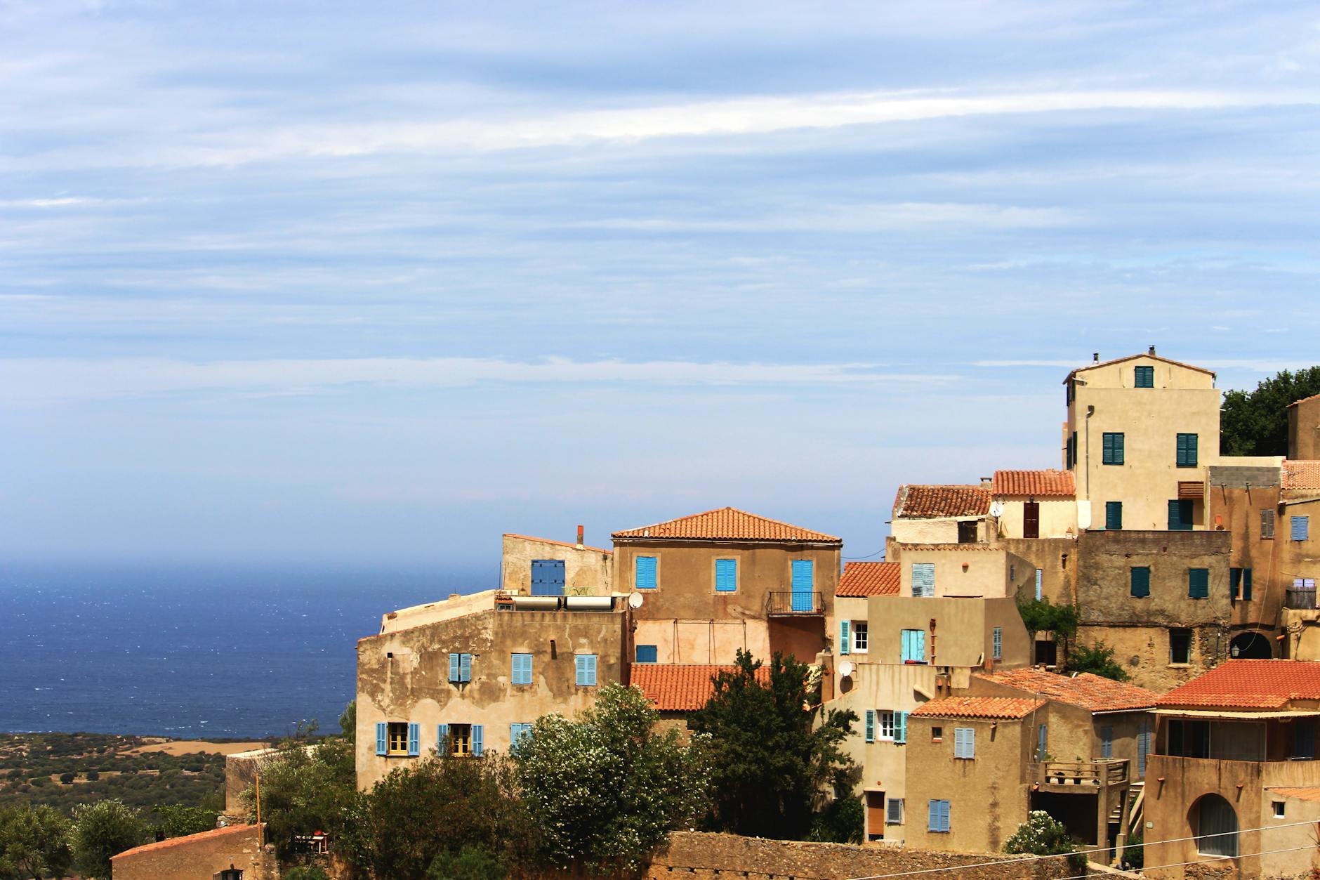 Brain Aging Slows With Mediterranean-DASH and MIND Diets