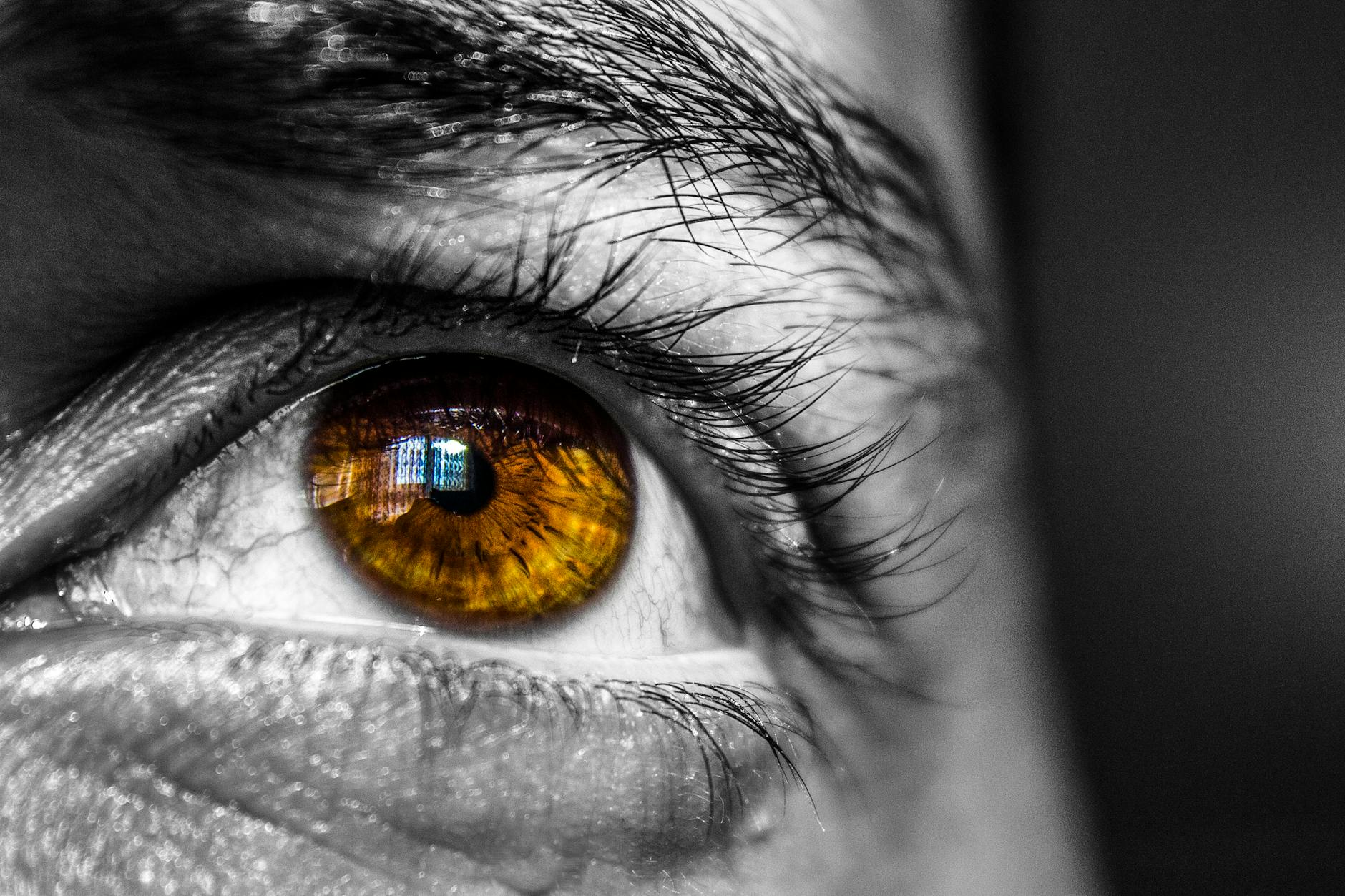 Brain Changes You Can't See But Can Measure