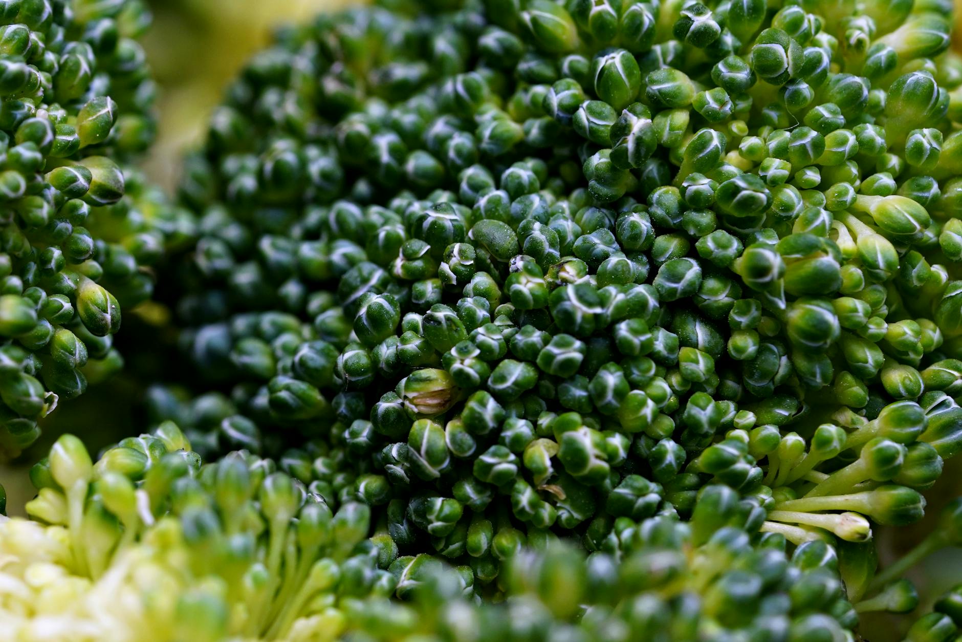 Can a Plant-Based Diet Provide Better Brain Protection Than Supplements?