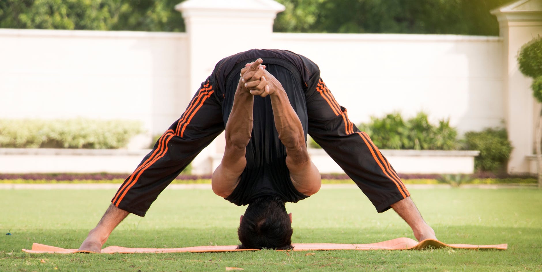 Cardiovascular and Broader Health Benefits Beyond Brain Protection