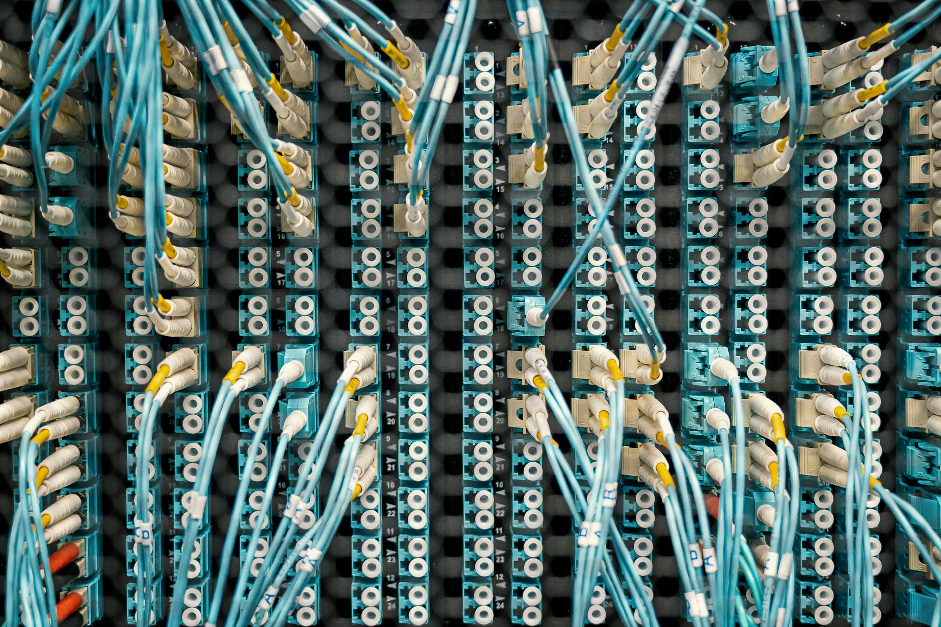 Cognitive Reserve and the Brain Network Organization That Protects Us