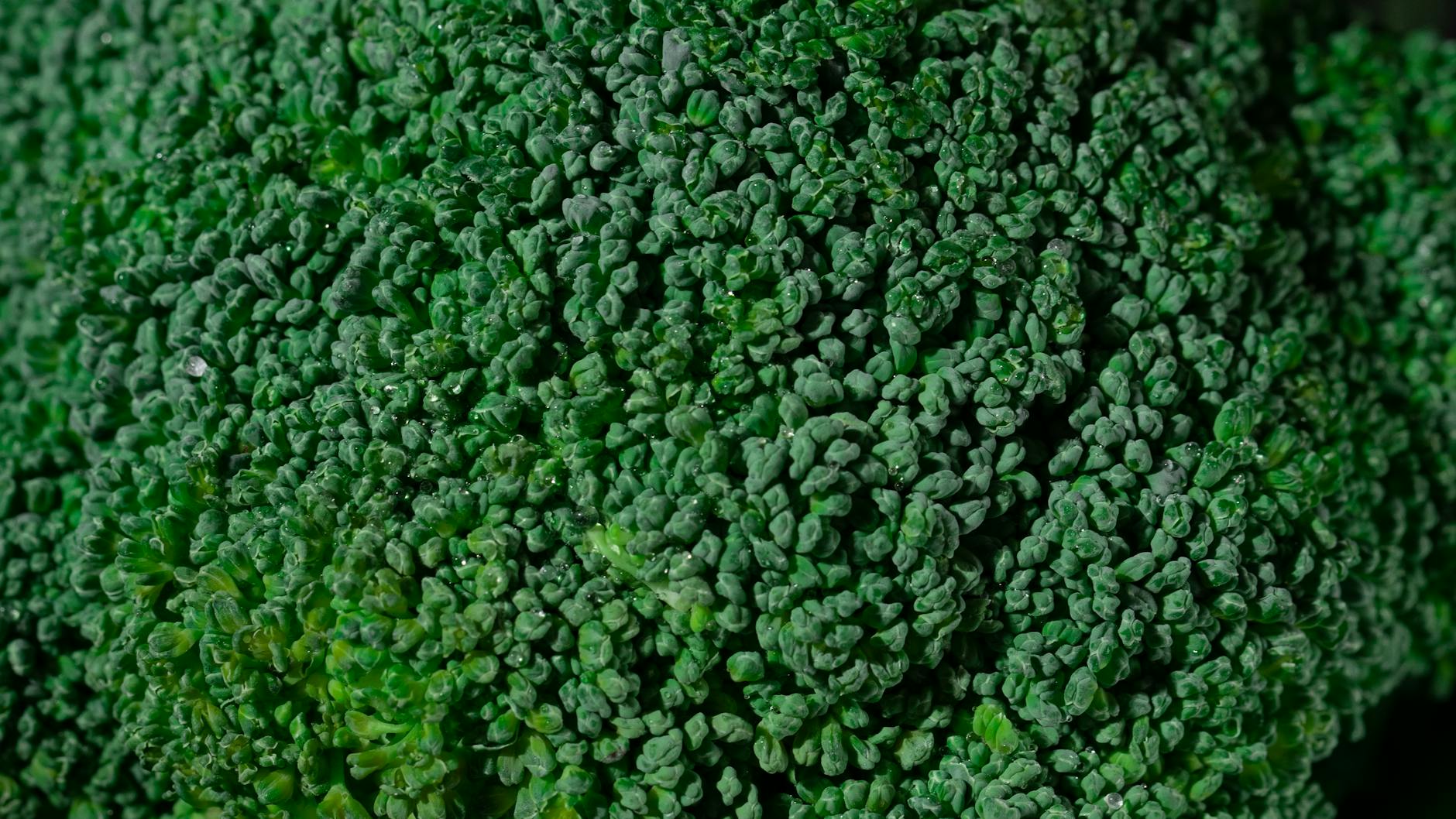 Does a Plant-Based Diet Reduce Dementia Risk More Than Taking Supplements?