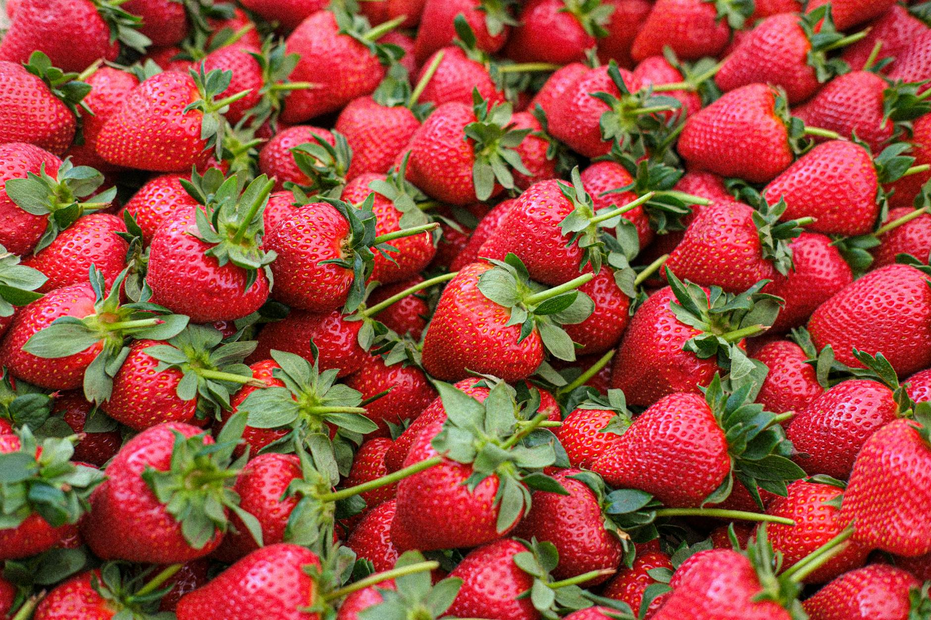Earlier Evidence of Strawberries' Cognitive Benefits