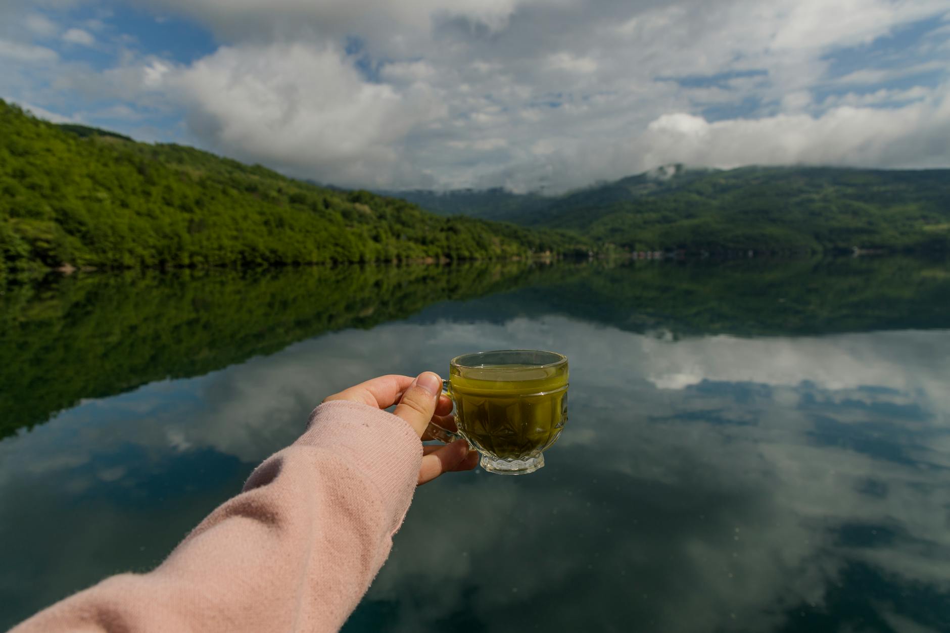 Green Tea Compounds and Their Effects on Cognitive Aging