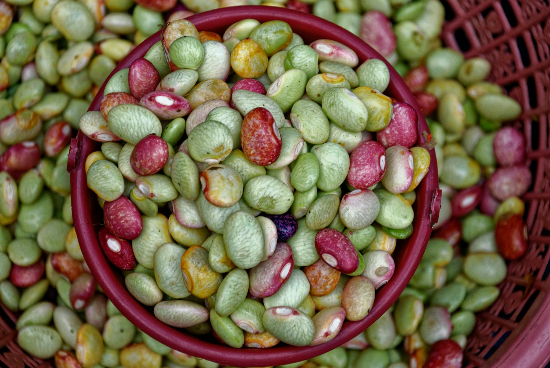 How Black Beans Lower Homocysteine and Reduce Alzheimer's Risk