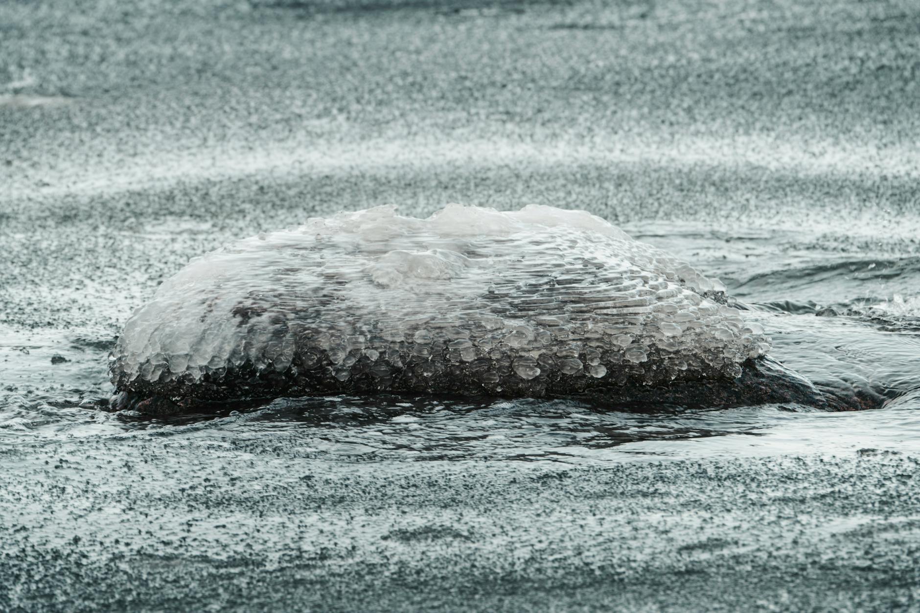 How Cold Plunges Create Brain Changes That Medication Cannot Replicate