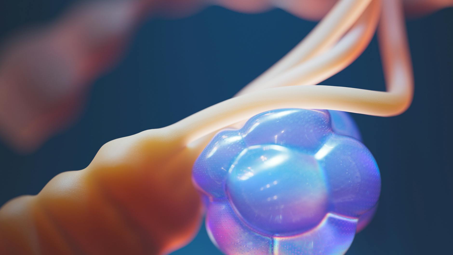 How Do Dopamine and Serotonin Systems Work in Opposition?