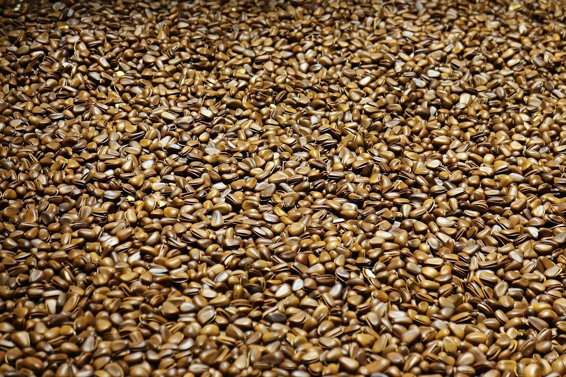 How Do Flax Seeds Reduce Alzheimer's Risk?