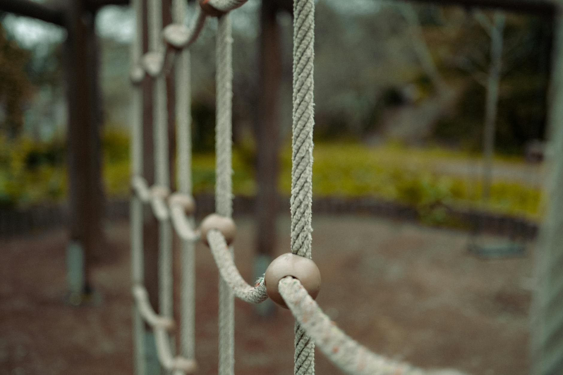 How Do Physical Activity and Exercise Impact Alzheimer's Risk?