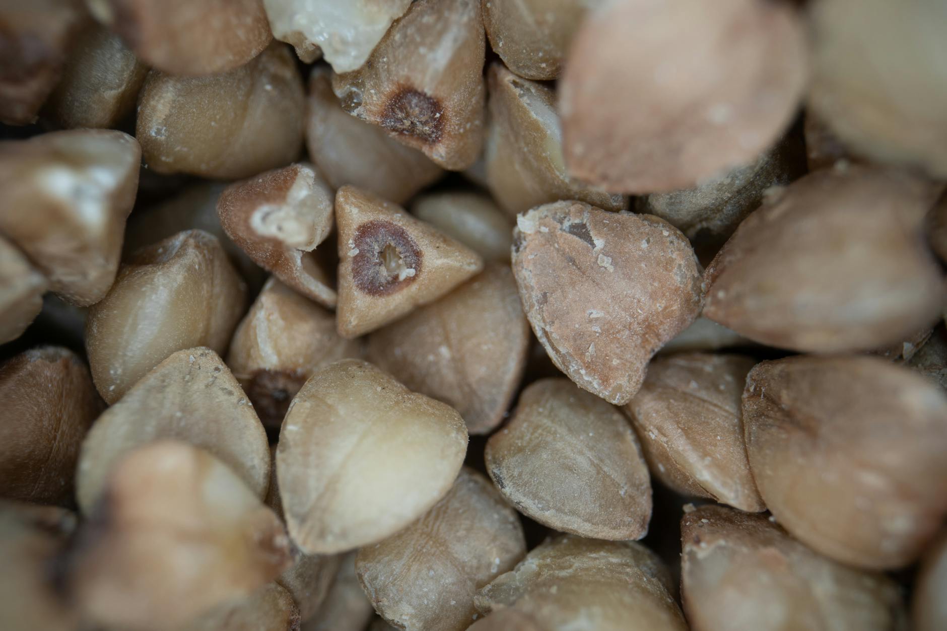 How Do Whole Grains Protect Against Cognitive Decline and Dementia?