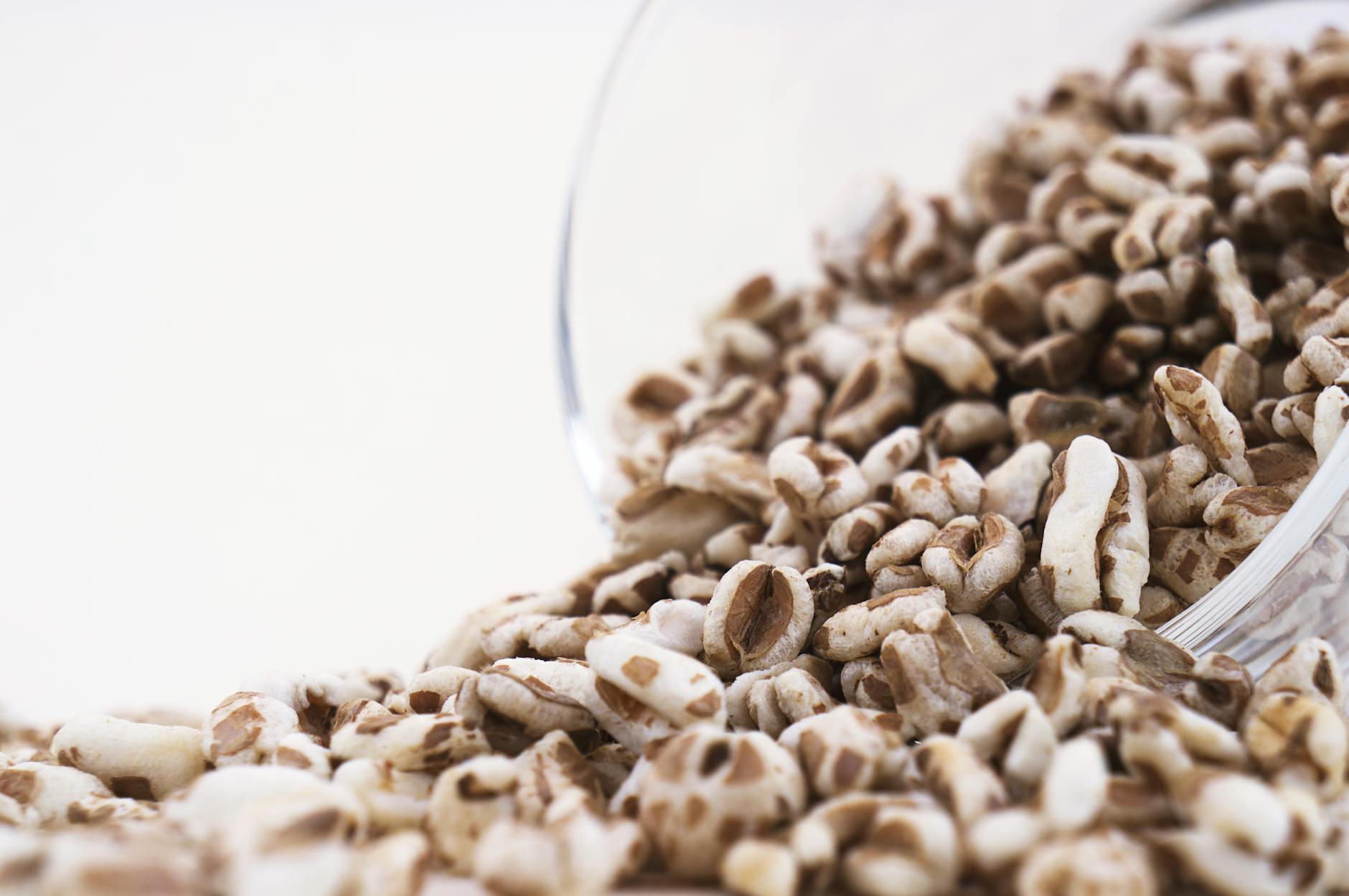 How Do Whole Grains Protect Against Dementia Risk?