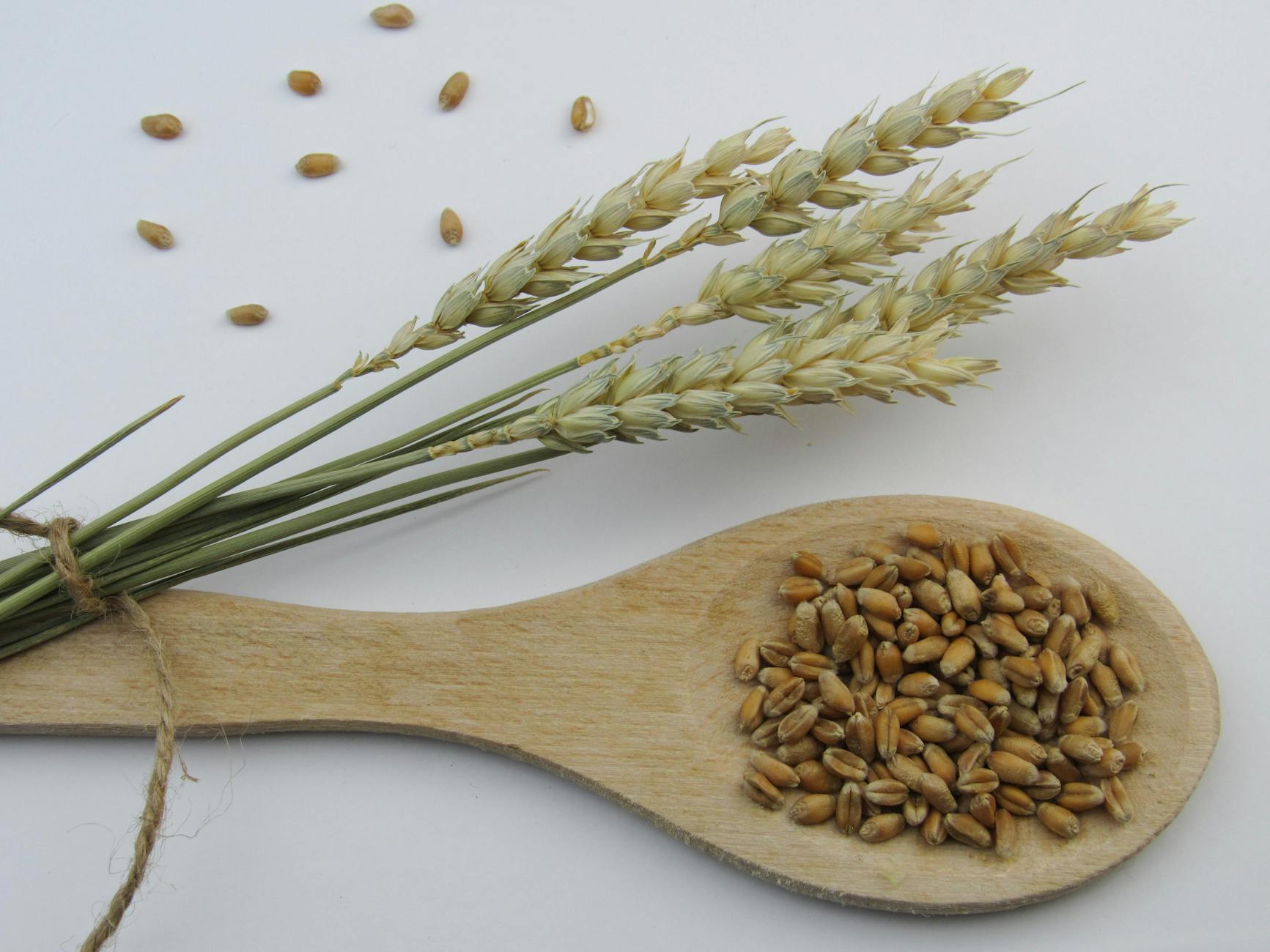 How Do Whole Grains Protect the Aging Brain?