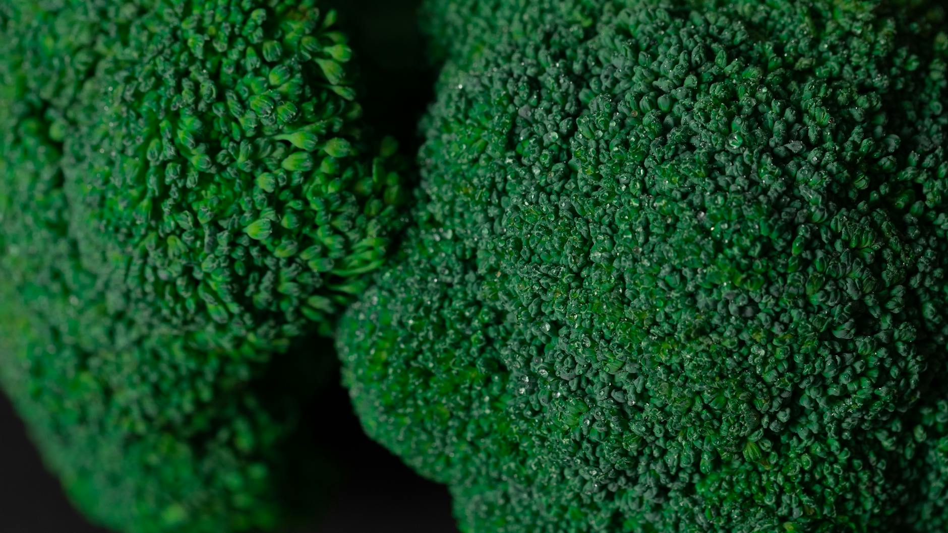 How Does a Plant-Based Diet Protect Against Alzheimer's Disease?
