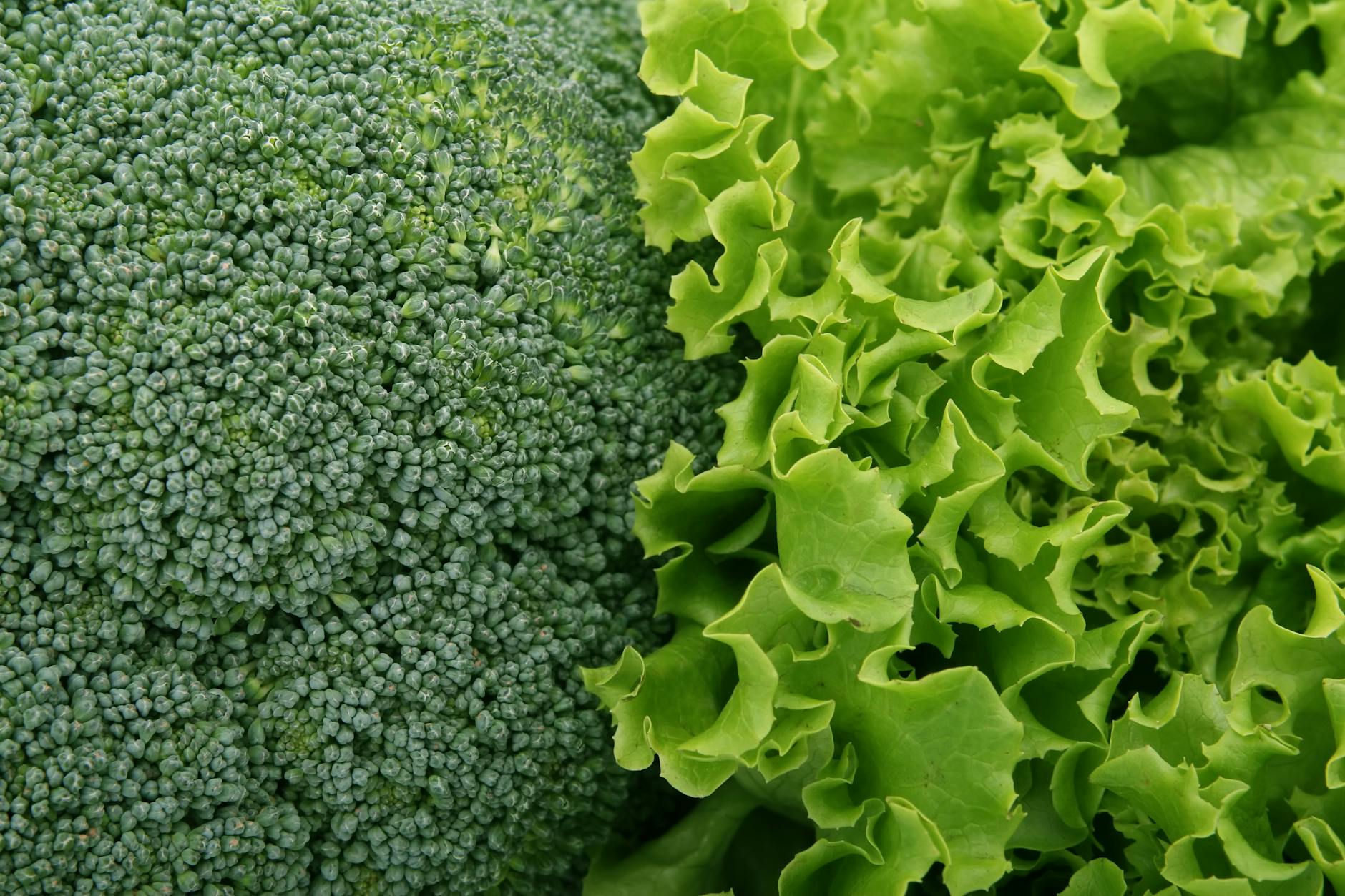 How Does a Vegetarian Diet Reduce Alzheimer's Risk?