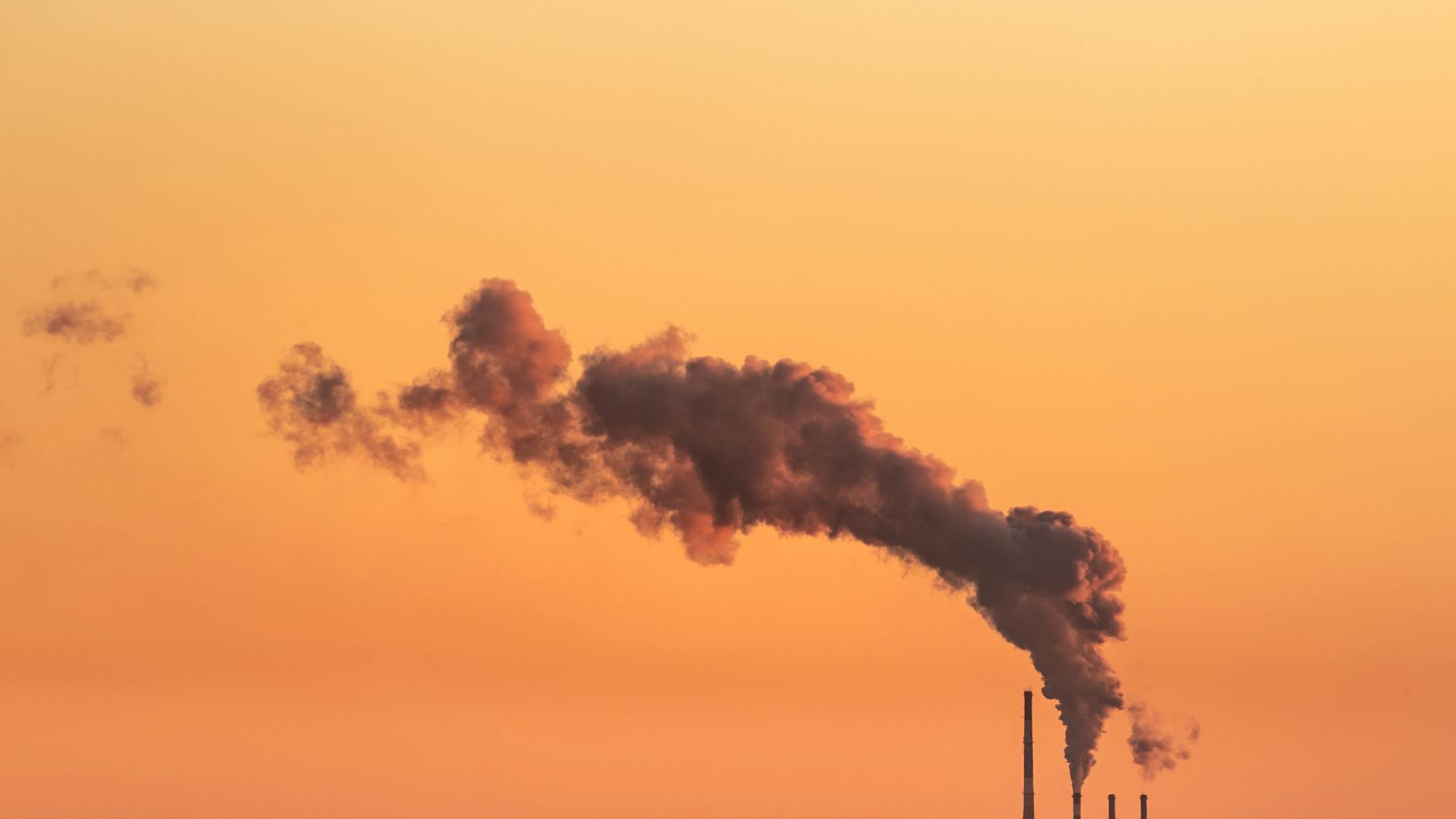 How Does Air Pollution Actually Damage Cognition Across Your Lifespan?