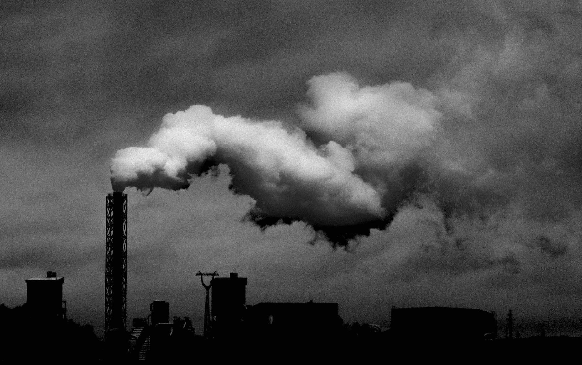 How Does Air Pollution Increase Dementia Risk?