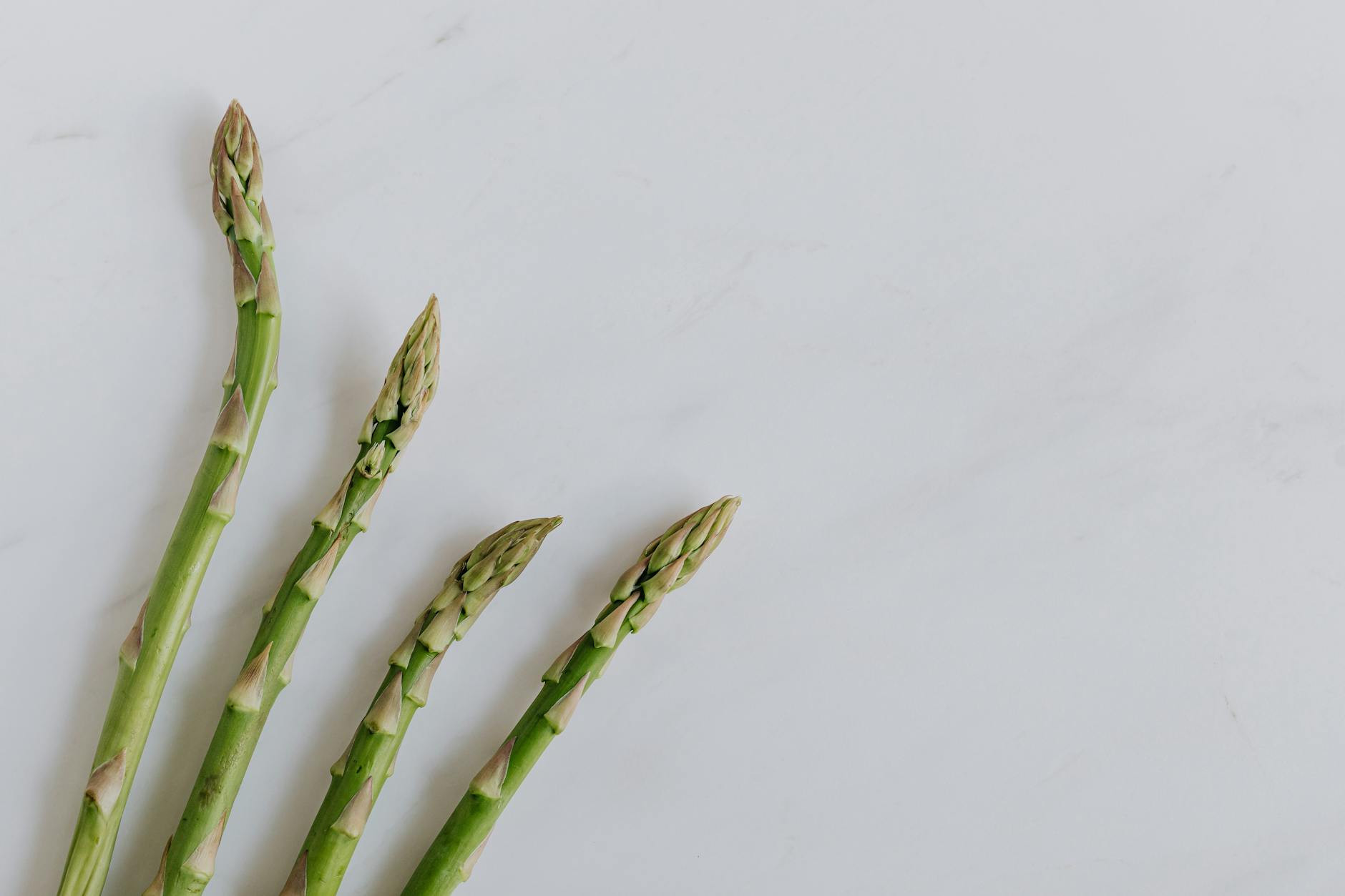 How Does Asparagus Lower Your Cognitive Decline Risk Through Folate?