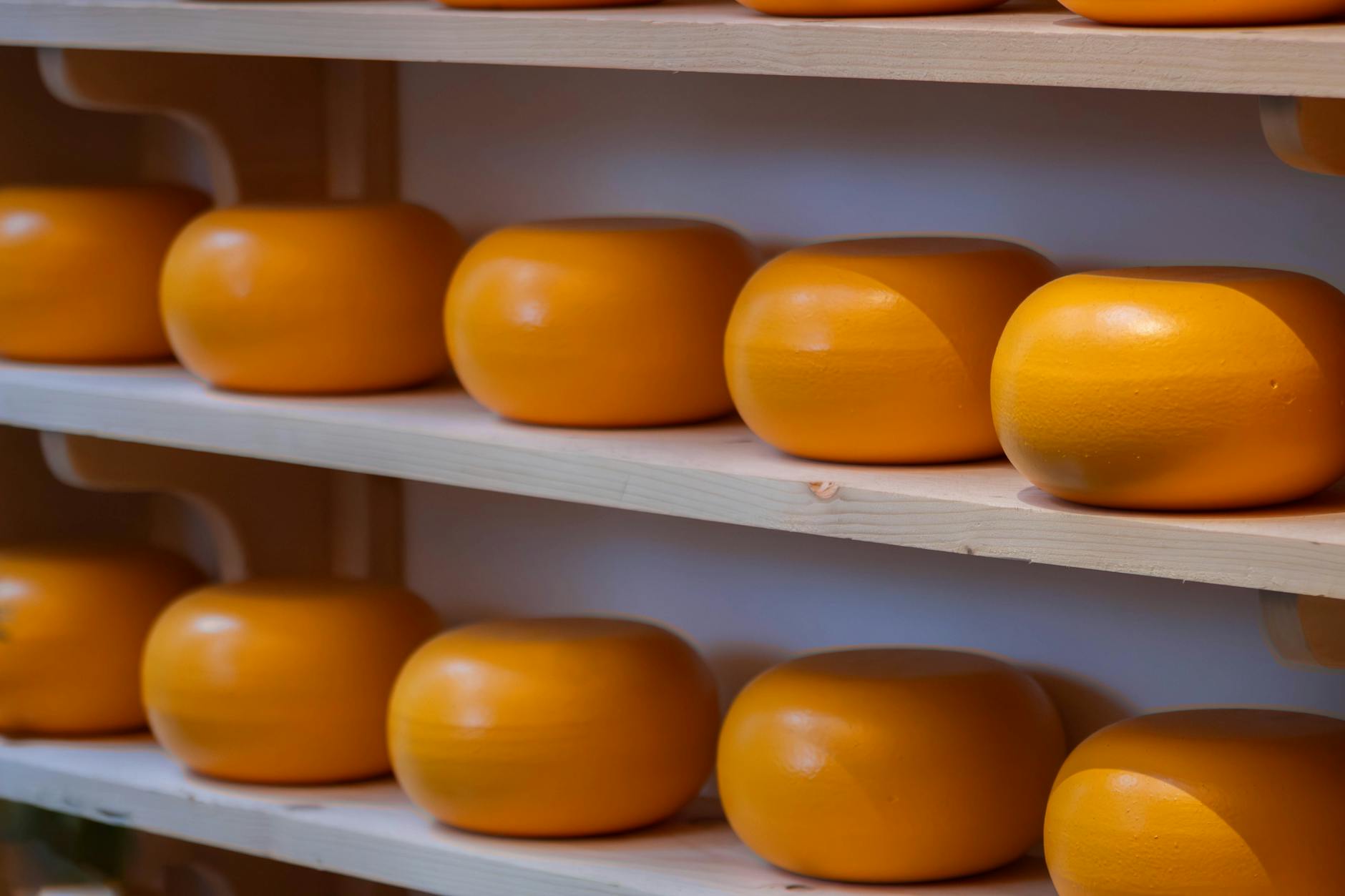 How Does Fermented Dairy Reduce Alzheimer's Risk?