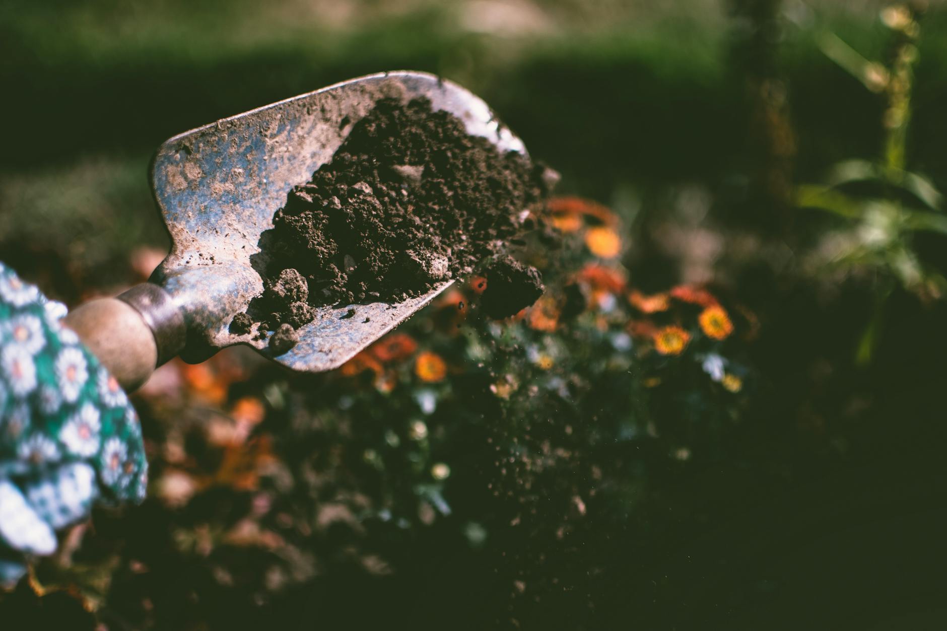How Does Gardening Reduce Dementia Risk?