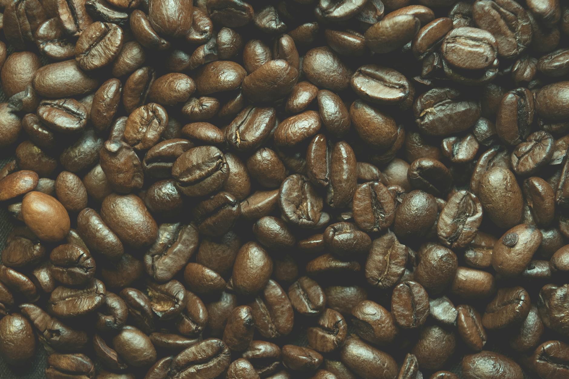 How Does Harvard's Coffee Study Define Dementia Risk and Coffee Protection?