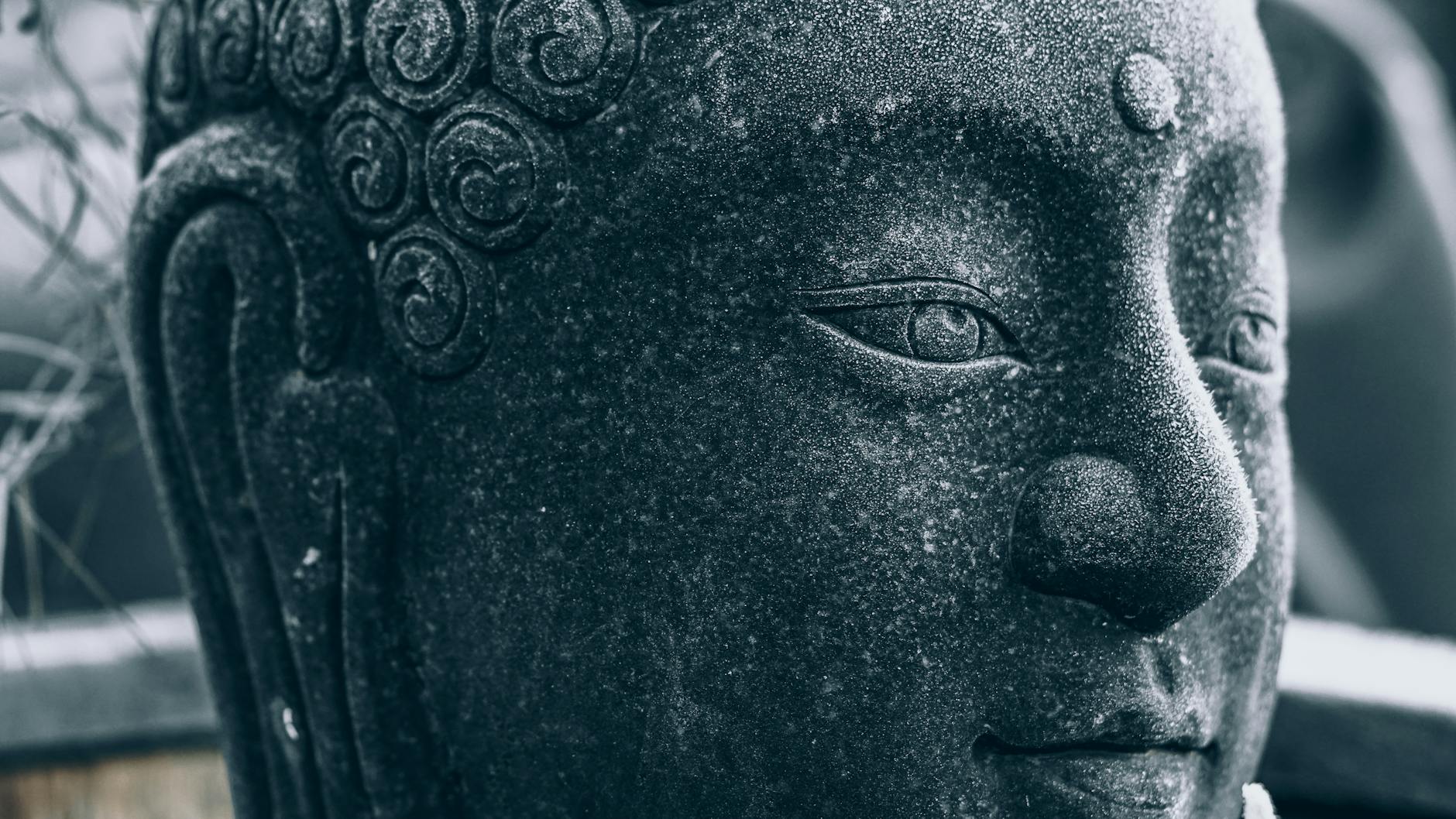 How Does Mindfulness Actually Affect Your Brain?