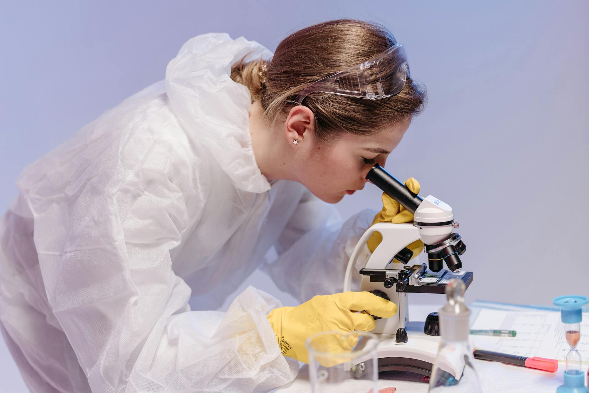 How Estrogen Protects the Brain—The Biological Mechanisms