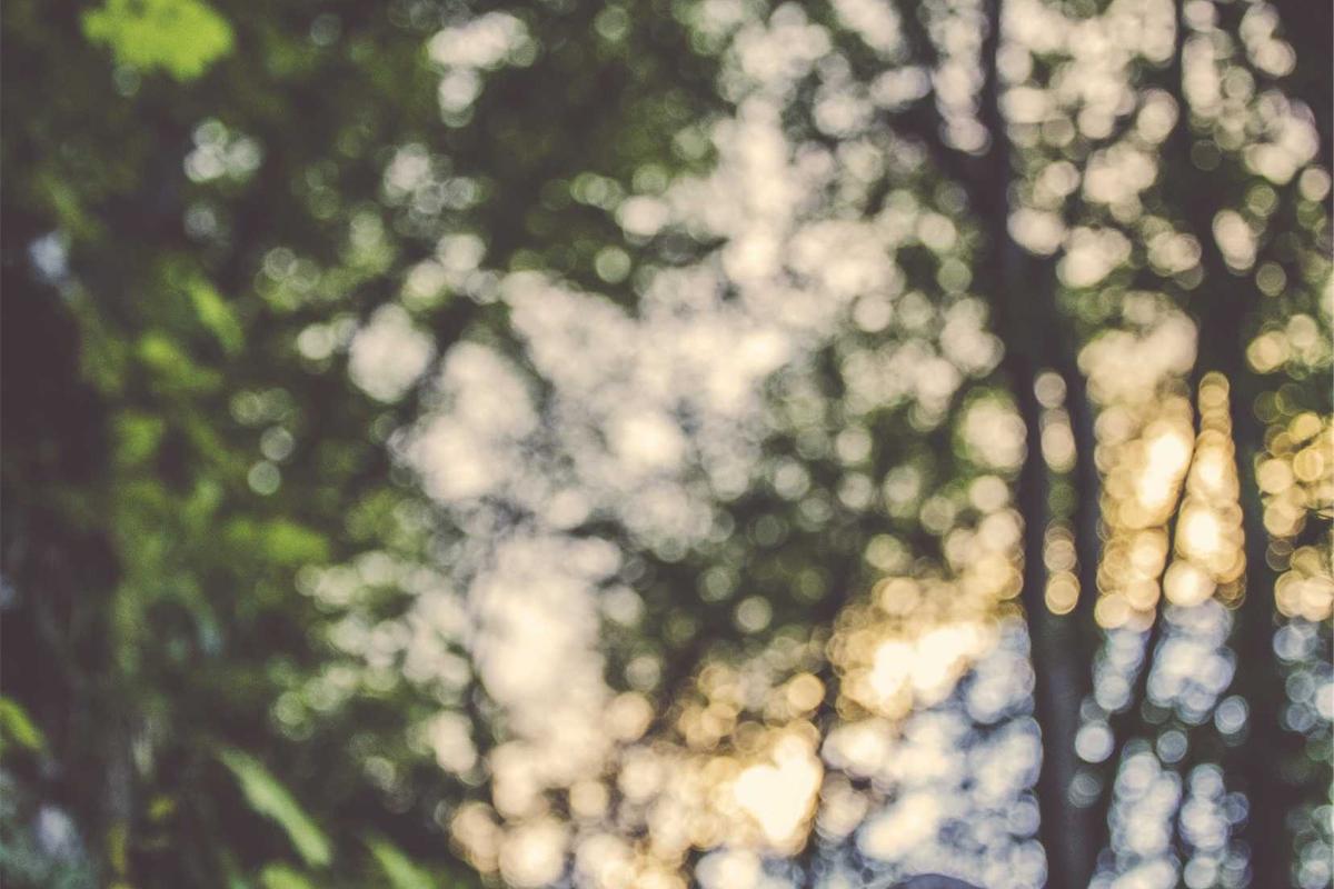 How Family Caregivers Become the Invisible Members of the Healthcare Team