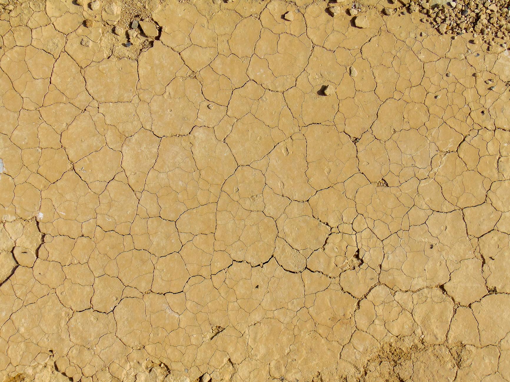 How Heat Exposure Protects the Aging Brain