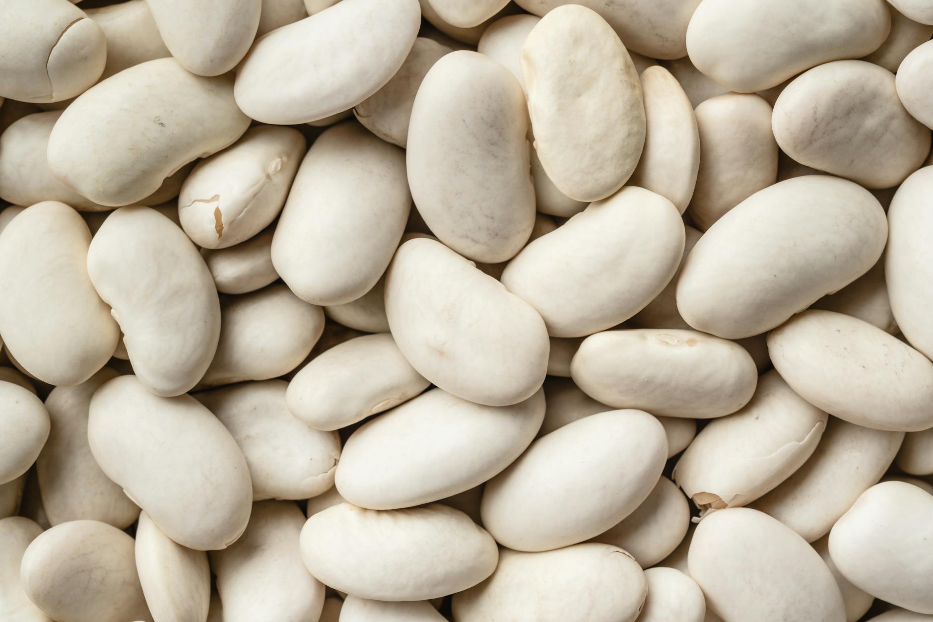 How Kidney Beans Reduce Brain Inflammation