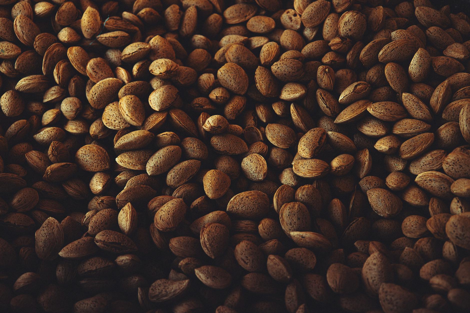 How Might Almonds Work to Protect the Brain?