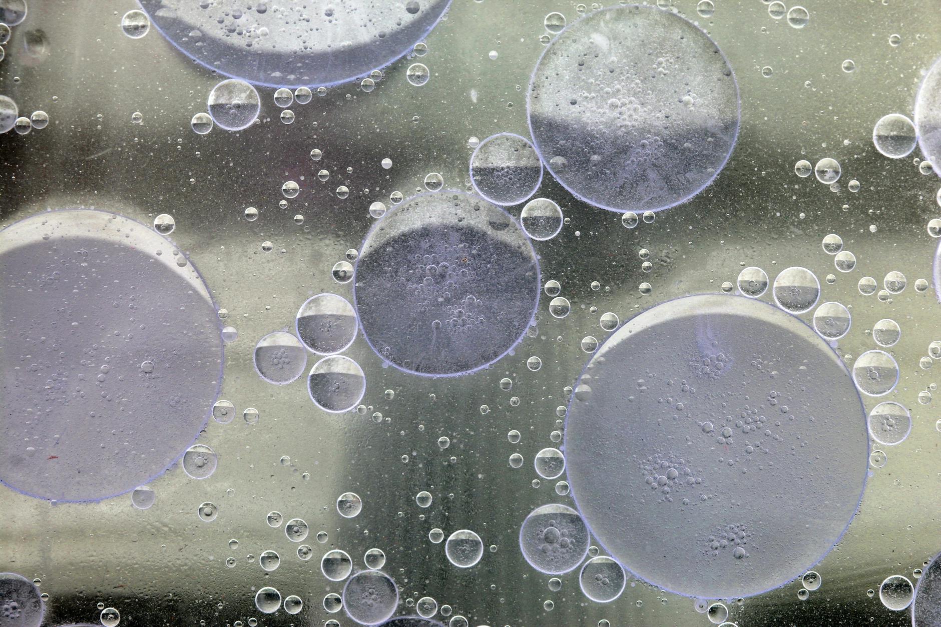 How Olive Oil Reaches Your Brain: The Cellular Connection