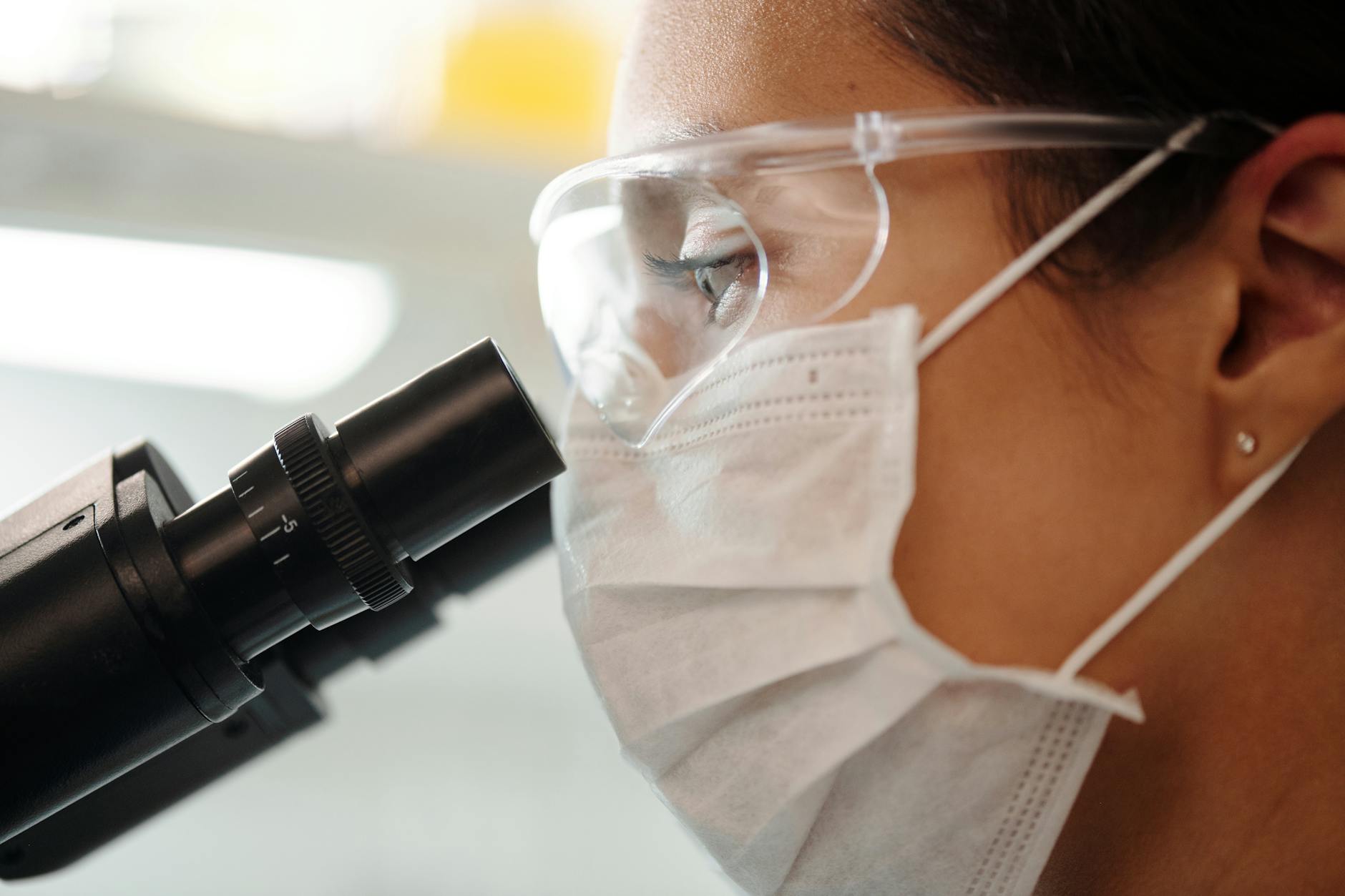 How Researchers Are Uncovering Brain Adaptability Mechanisms