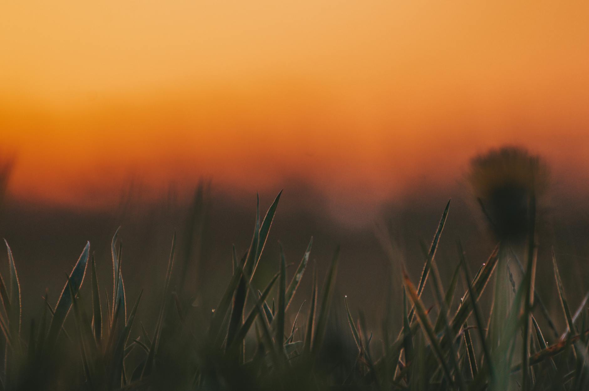 Is Sundowning an Early Warning Sign of Dementia?