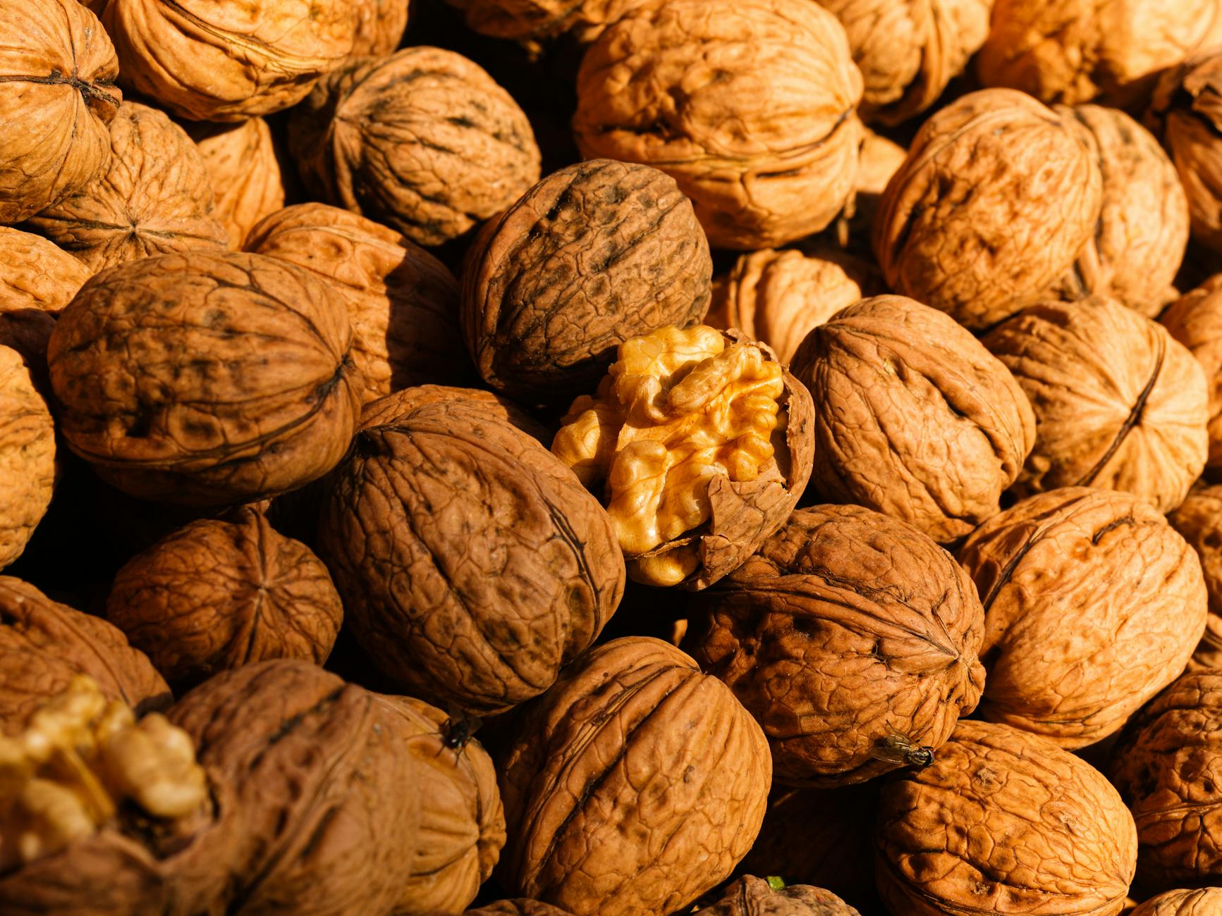 Ketogenic Diet vs. Other Brain-Protective Diets—Where It Stands