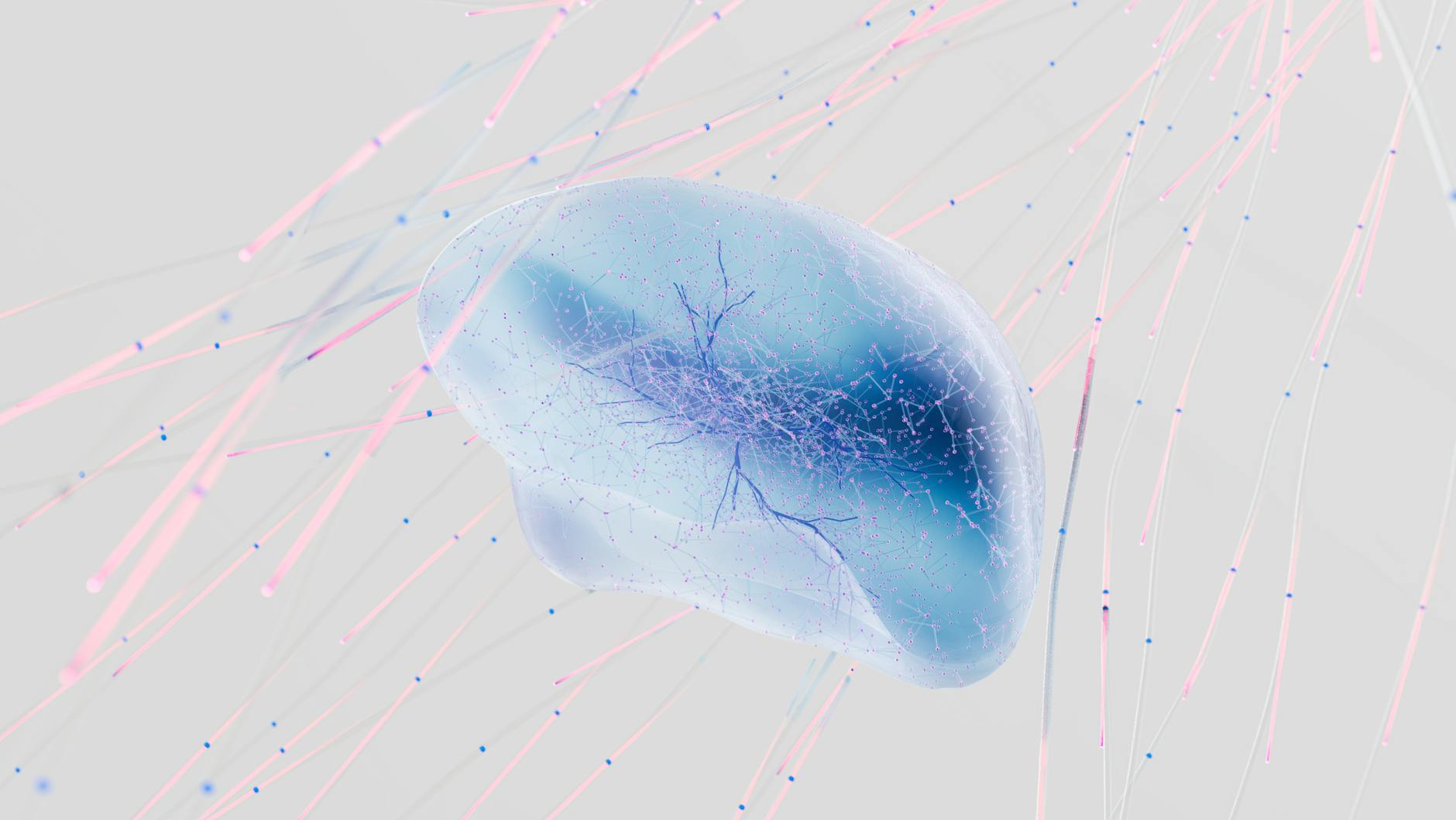 Lutein and the Brain's Visual Processing Connection