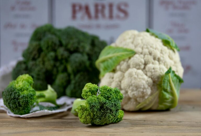 New Research Links broccoli to Better Brain Health After 60 - Featured image